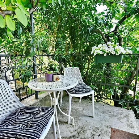 Apartments Pierina Novigrad Istria Esterno foto