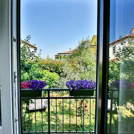 Apartments Pierina Novigrad Istria Esterno foto