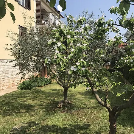 Apartments Pierina Novigrad Istria Esterno foto