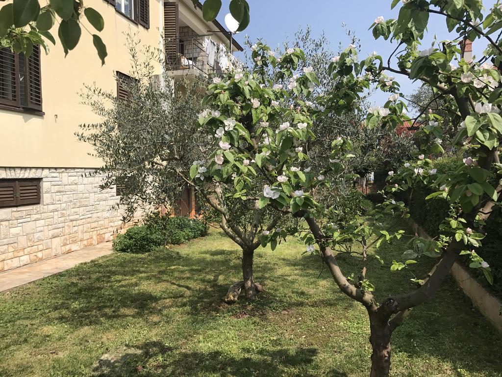 Appartamento Pierina *