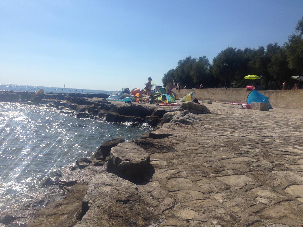 Pierina * Novigrad (Istria)